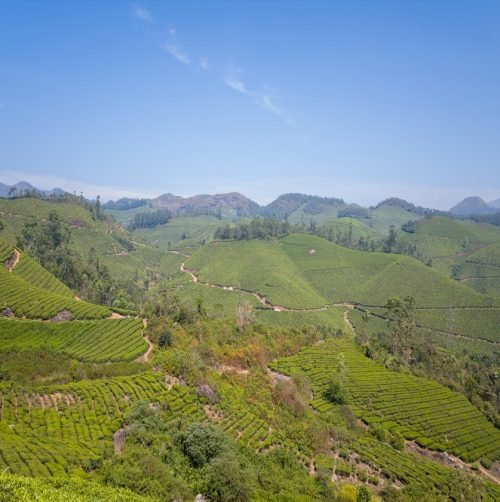 nature_image